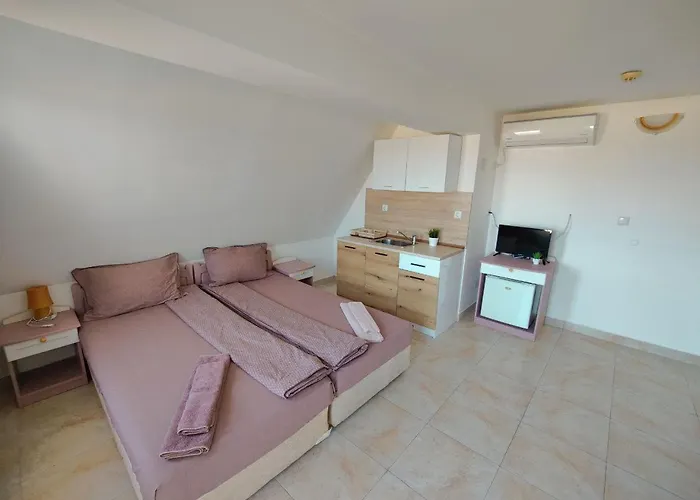 Joker 2* 로제넷츠